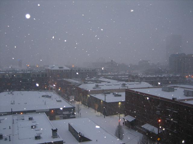 20070116_2890