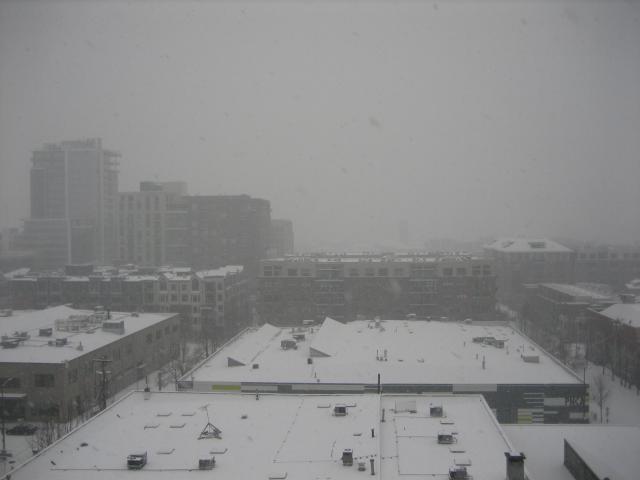 20070116_2895