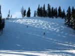20070114_2858