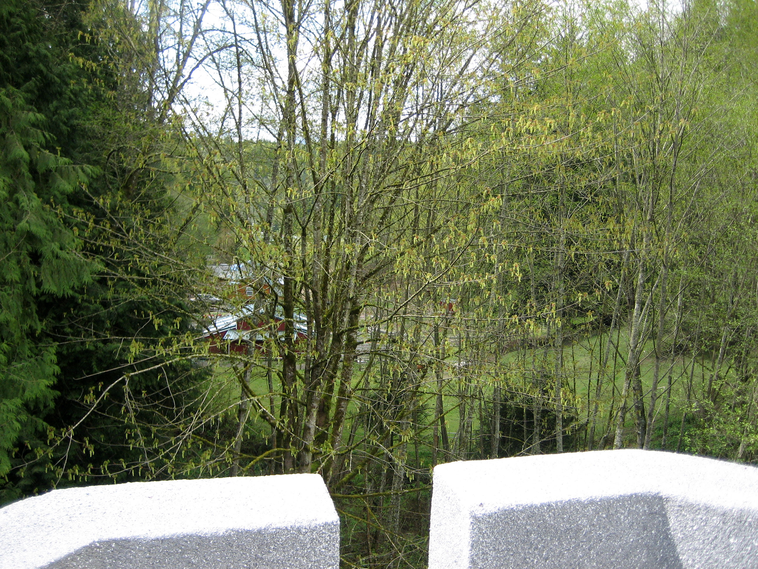 20070415_4079