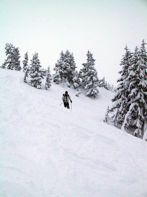 20060312_3669