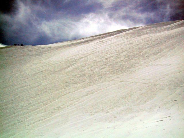 20060326_3899