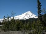20060514_0295