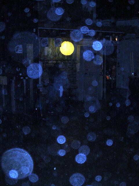 20060319_3836