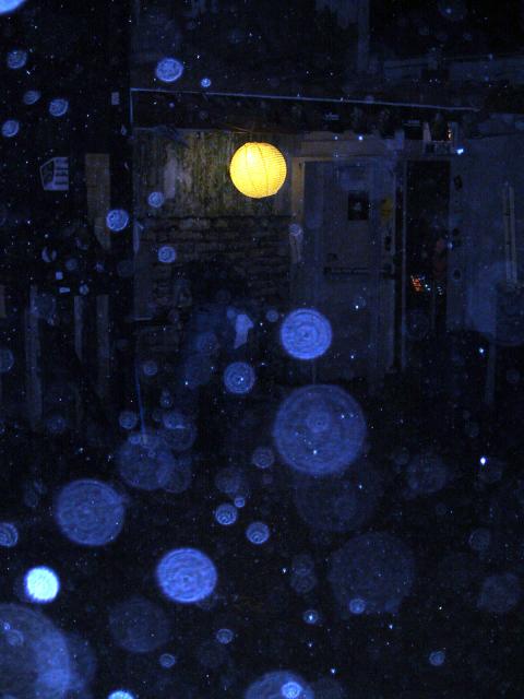 20060319_3838