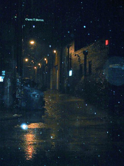 20060319_3840