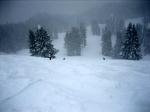 20080328_7977.jpg